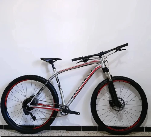 Des vélos Originaux toutes marques Rockrider TREK vélo électrique taille L XL 27.5 29 28 pouces livraison Disponible