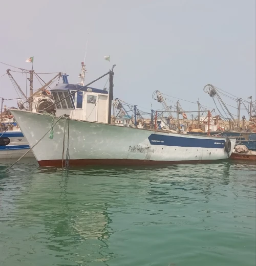 Bateau de pêche Espadonier en polyester 