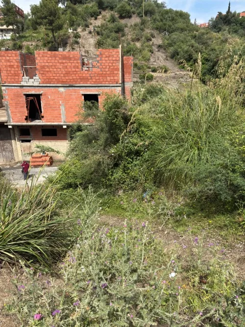 Vente Terrain Blida Bouarfa