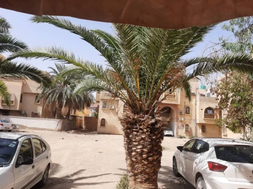 Location Local Biskra Biskra