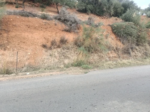 Vente Terrain Béjaïa Akbou
