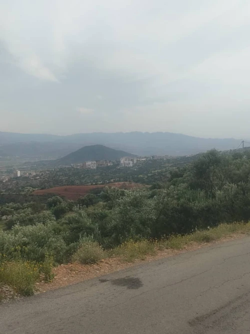 Vente Terrain Béjaïa Akbou
