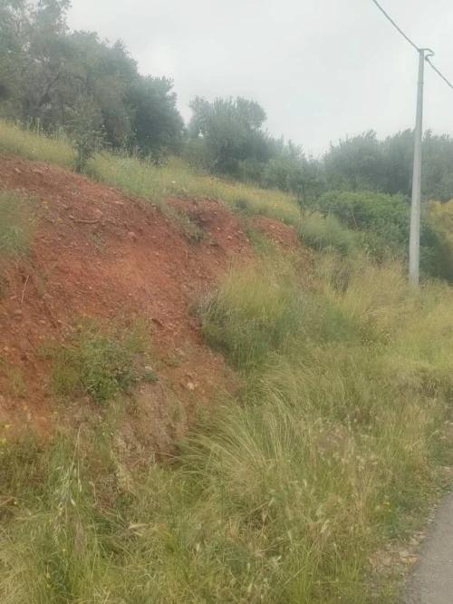 Vente Terrain Béjaïa Akbou