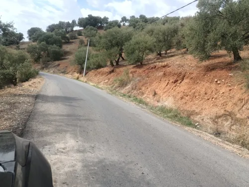 Vente Terrain Béjaïa Akbou