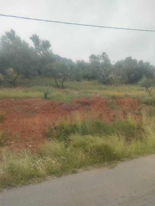 Vente Terrain Béjaïa Akbou