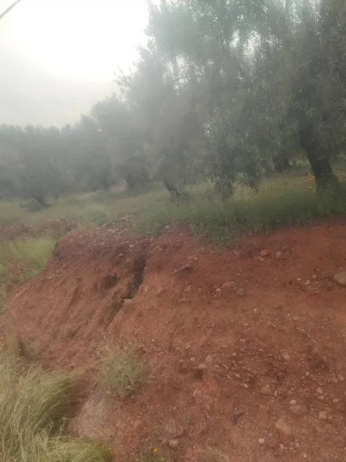 Vente Terrain Béjaïa Akbou