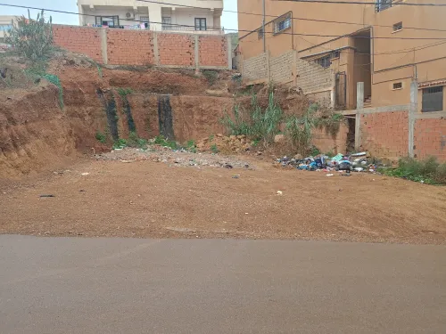 Vente Terrain Tipaza Tipaza