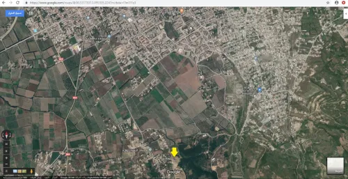 Vente Terrain Blida Bougara