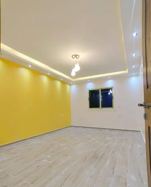 Peintre professionnel
