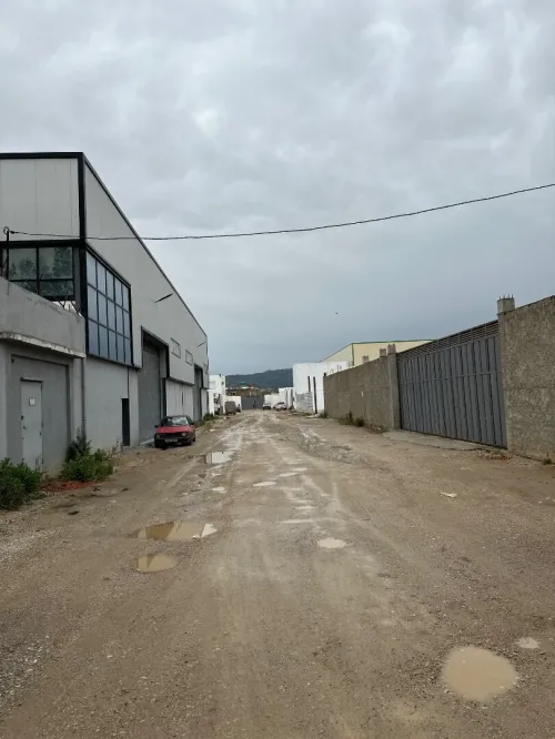 Vente Terrain Blida Ouled selama