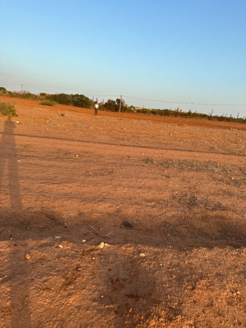 Vente Terrain Mostaganem Fornaka