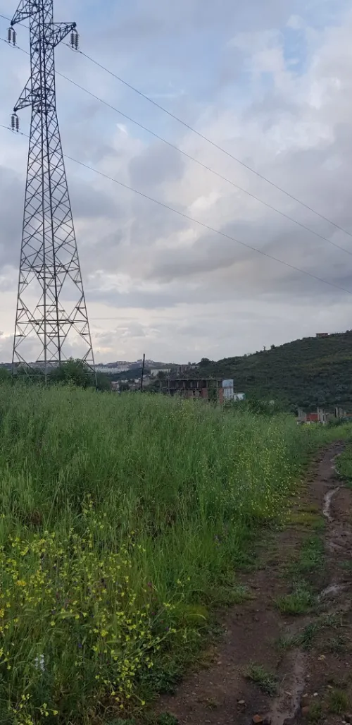 Vente Terrain Skikda El Hadaiek