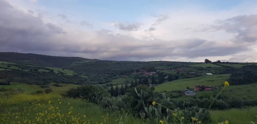 Vente Terrain Skikda El Hadaiek