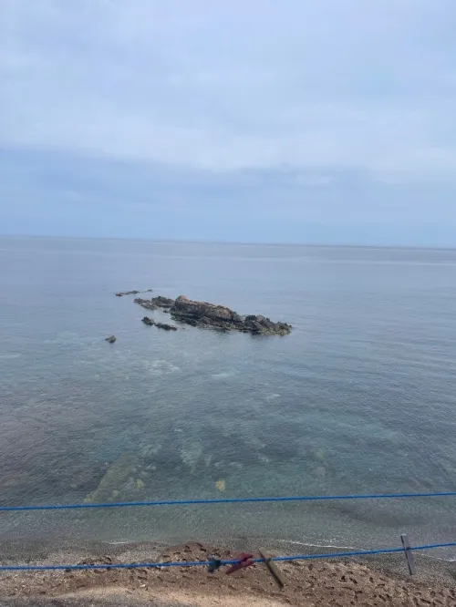 Vente Bungalow F2 Tipaza Tipaza