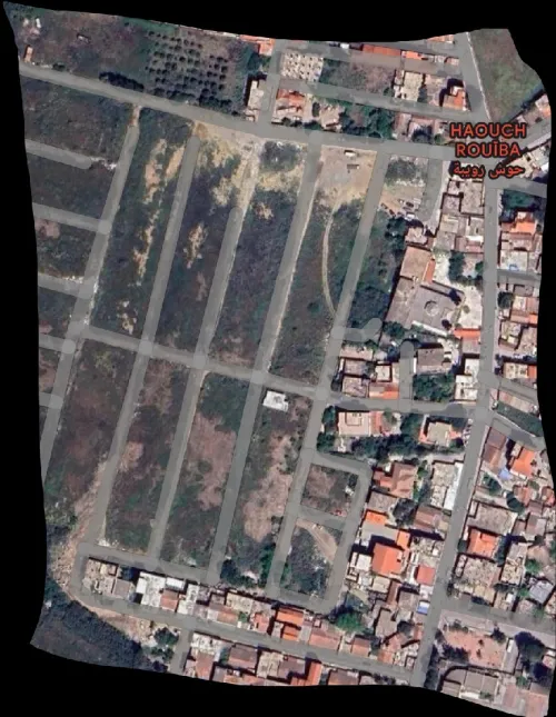 Vente Terrain Alger Rouiba