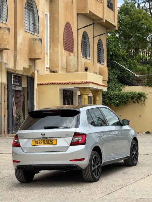 Skoda Fabia 2020 Monte Carlo