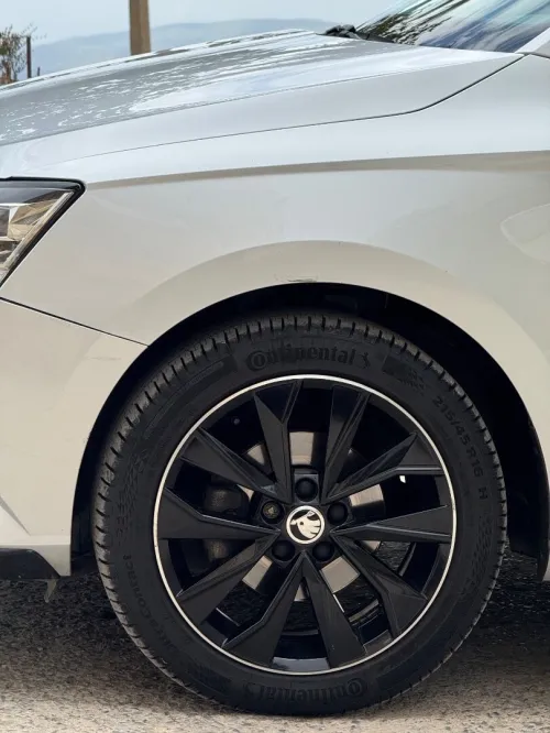 Skoda Fabia 2020 Monte Carlo