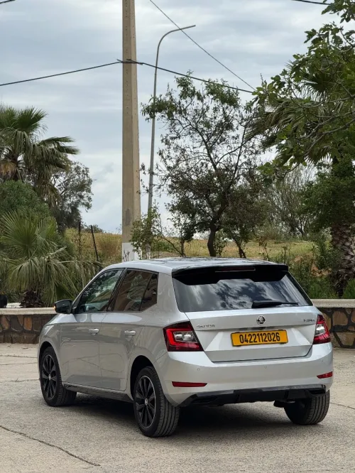 Skoda Fabia 2020 Monte Carlo