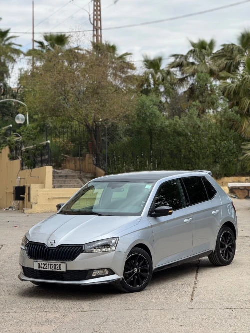 Skoda Fabia 2020 Monte Carlo