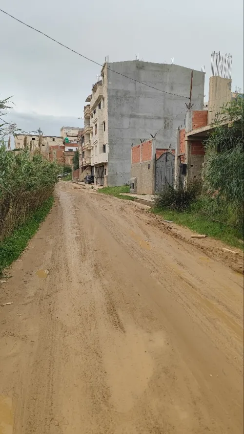 Vente Terrain Boumerdès Zemmouri