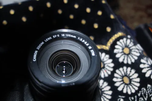 Canon EOS 60D 18-135mm is stm
