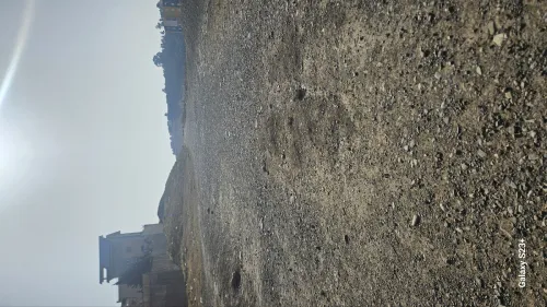 Vente Terrain Alger Douera