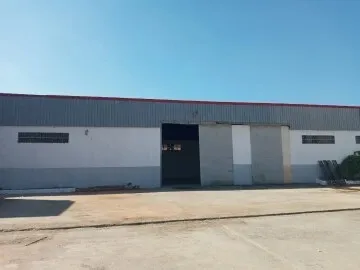 Vente Hangar - Usine Alger Dar el beida