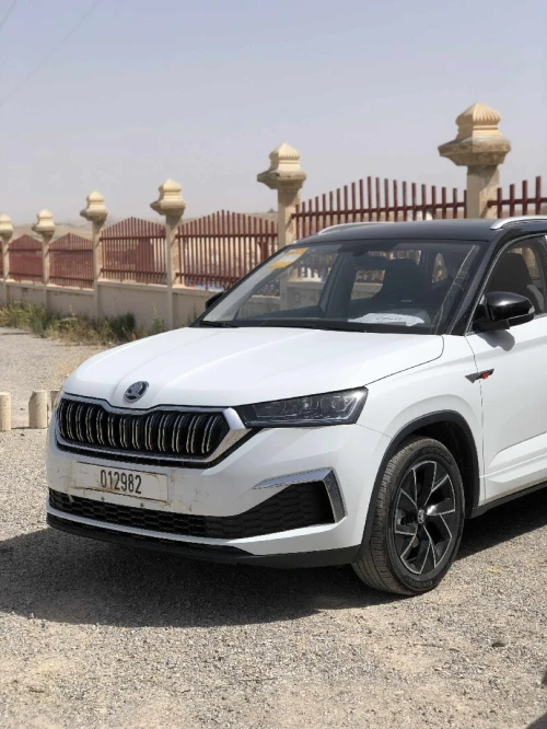 Skoda Kamiq 2025 