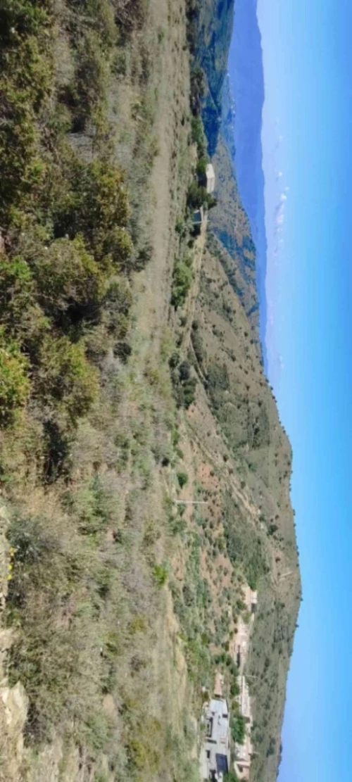 Vente Terrain Béjaïa Amalou