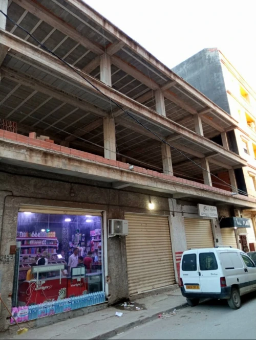 Vente Villa Alger Les eucalyptus