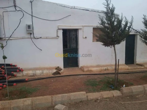 Vente Terrain Agricole Sidi Bel Abbès Ben badis