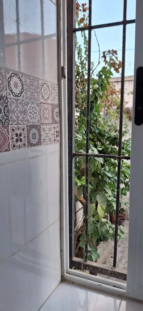 Location Appartement Niveau de villa Studio Alger Reghaia