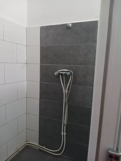 Location Appartement Niveau de villa Studio Alger Reghaia