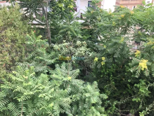 Vente Appartement F3 Alger El mouradia
