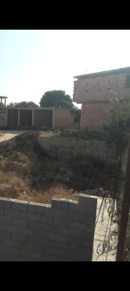 Vente Terrain Tlemcen Tlemcen