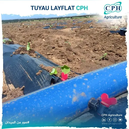 TUYAU LAYFLAT خرطوم السقي لايفلات