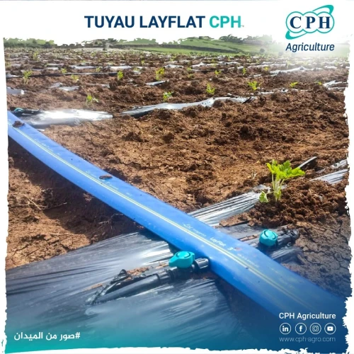 TUYAU LAYFLAT خرطوم السقي لايفلات