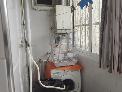 Vente Appartement F3 Alger Bourouba