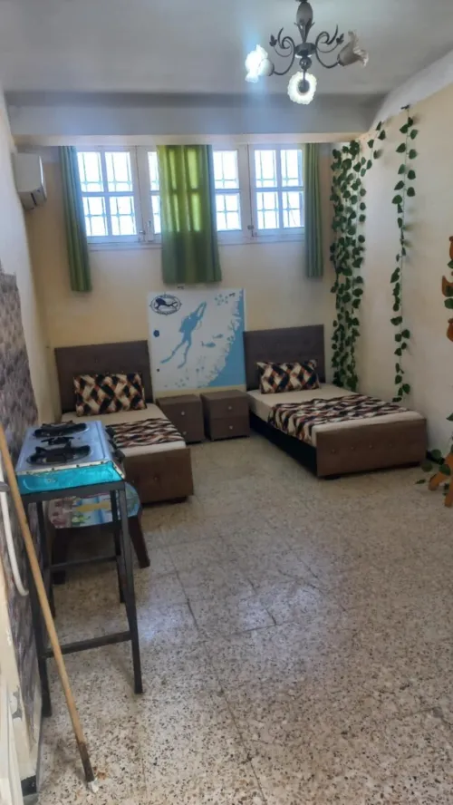 Location Appartement Studio Alger Bab ezzouar