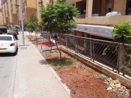 Location Local Alger Zeralda