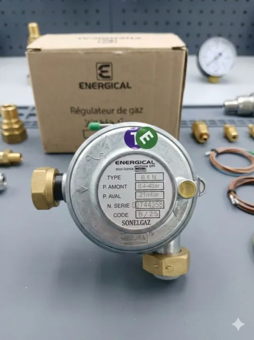 ENERGICAL Déthendeur Gaz B06 B10 B25