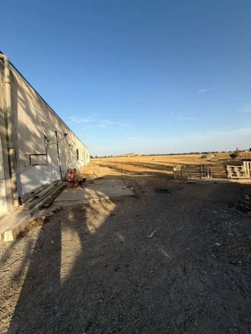 Vente Terrain Agricole Sidi Bel Abbès Sidi lahcene