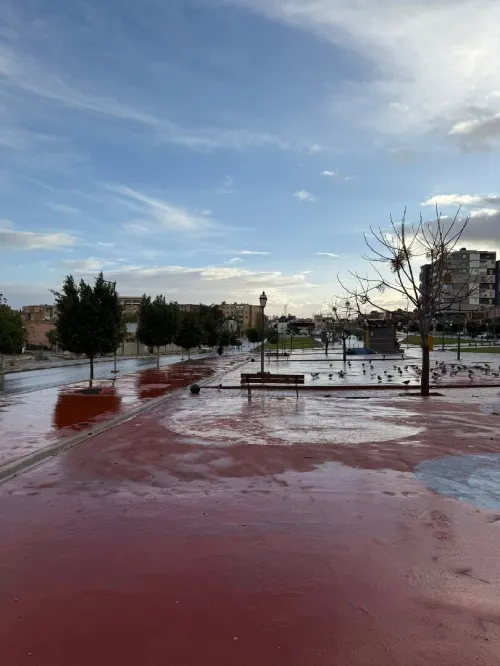 Vente Appartement F5 Sidi Bel Abbès Sidi bel abbes