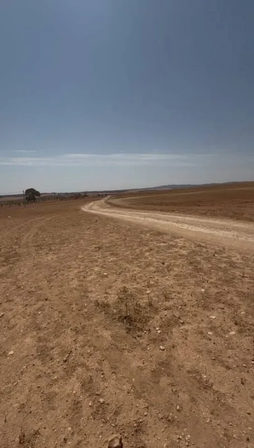 Vente Terrain Sidi Bel Abbès Sidi lahcene