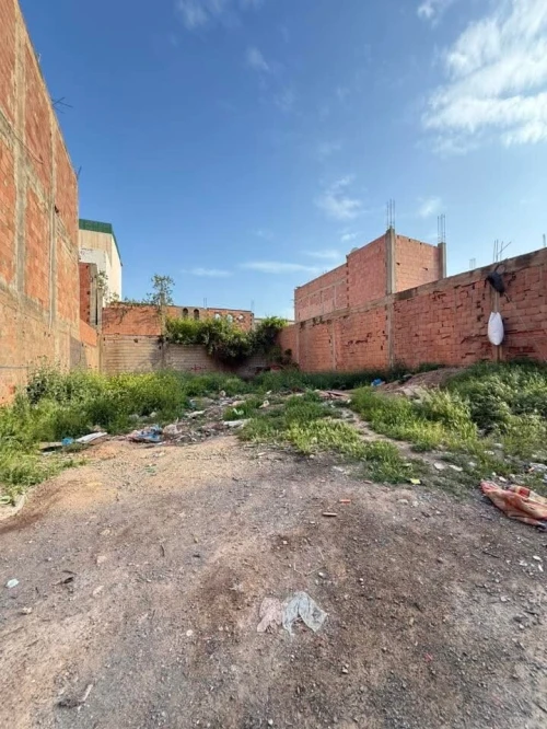 Vente Terrain Sidi Bel Abbès Amarnas