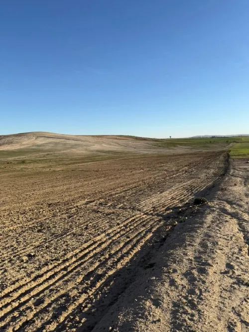 Vente Terrain Agricole Sidi Bel Abbès Zerouala