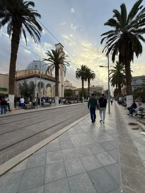 Location Local Sidi Bel Abbès Sidi bel abbes