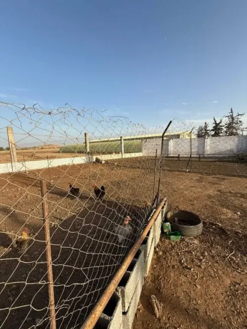 Vente Terrain Agricole Sidi Bel Abbès Sidi lahcene