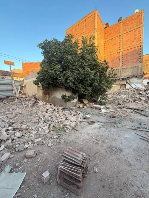 Vente Terrain Sidi Bel Abbès Sidi bel abbes