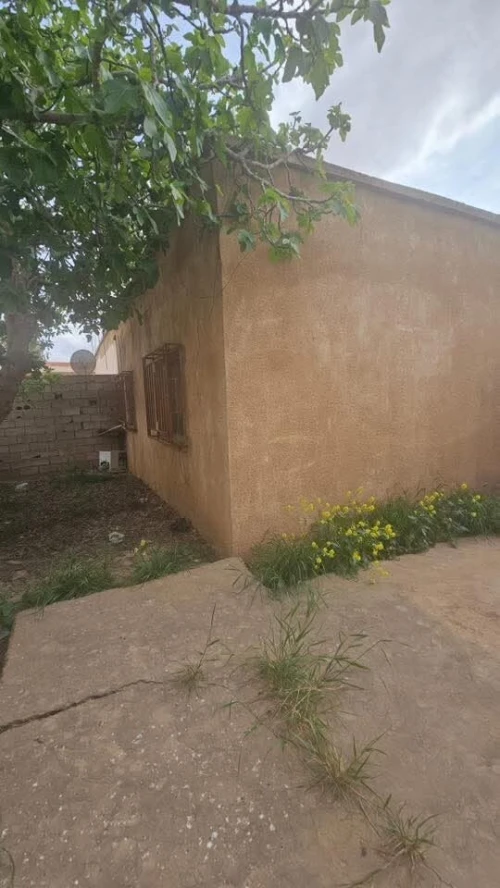 Vente bien immobilier Sidi Bel Abbès Amarnas